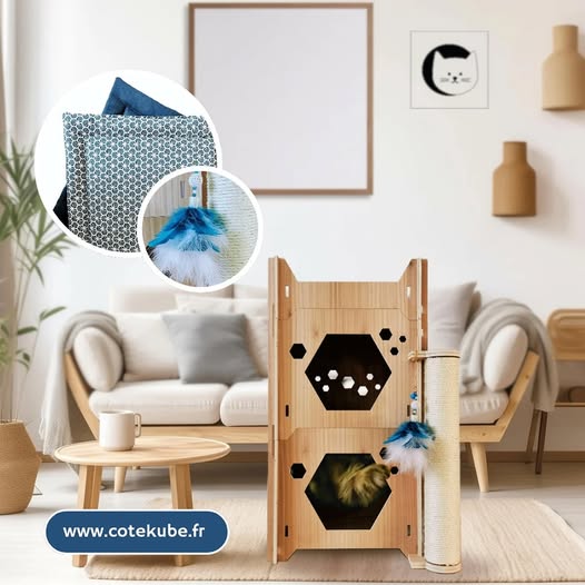 Arbre à chat-Chatmuzement-Cote-KUBE-bleu